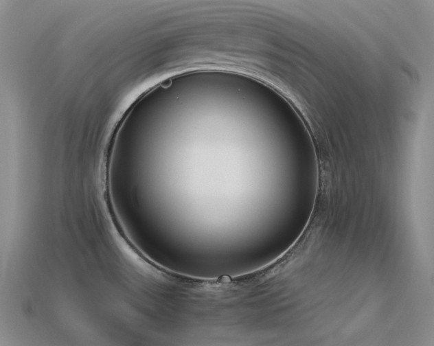 X0000113541531200909181146
