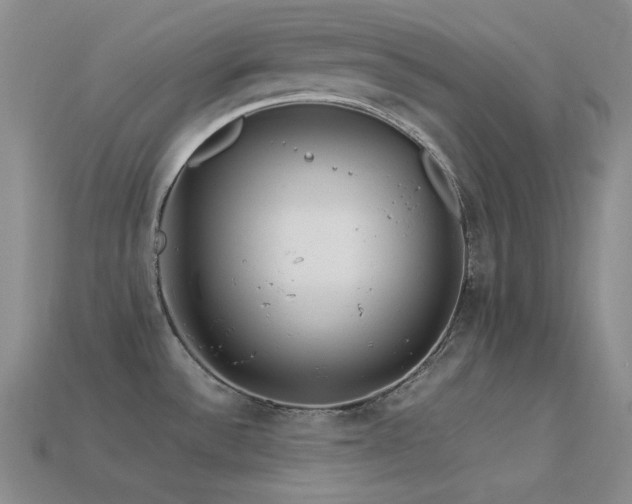 X0000113541532200909181146