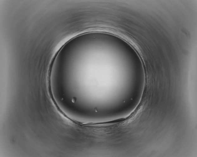 X0000113541533200909181146