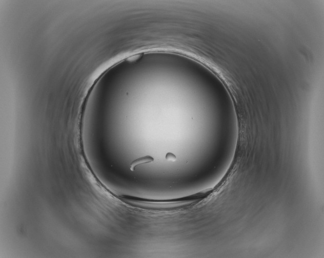 X0000113541534200909181146