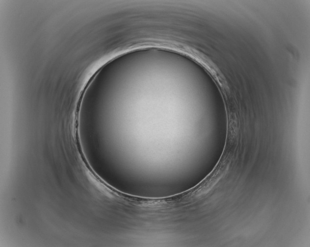 X0000113541535200909181146