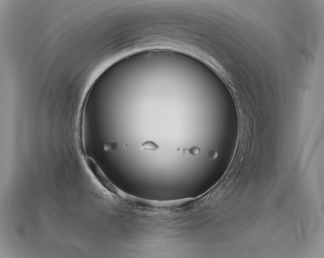 X0000113541536200909181146