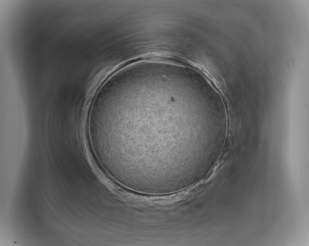 X0000113540001200909250936