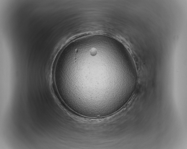 X0000113540002200909250936