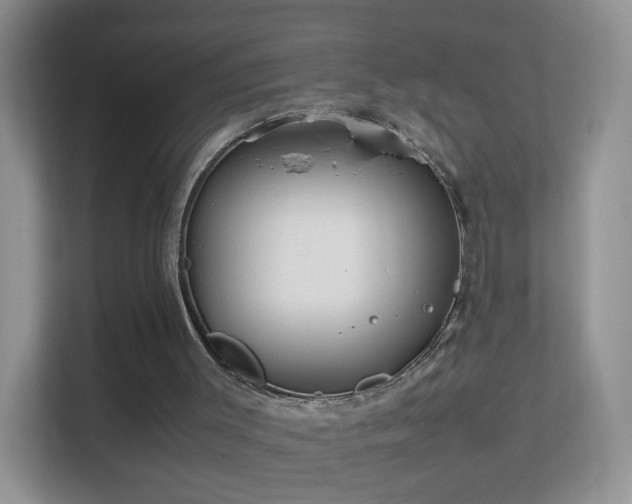 X0000113540003200909250936