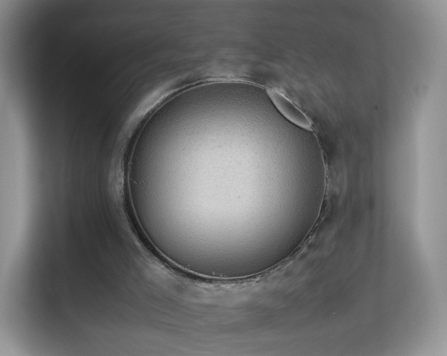 X0000113540005200909250936