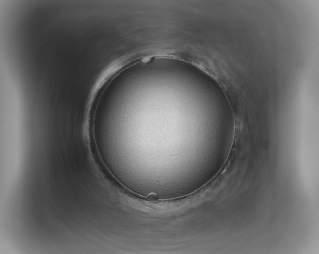 X0000113540006200909250936