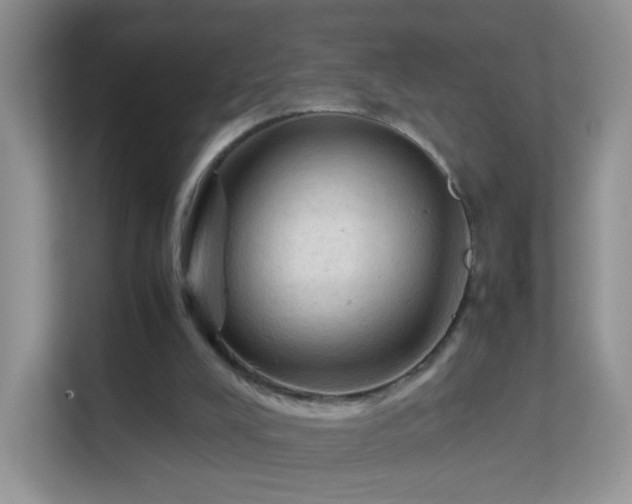 X0000113540008200909250936