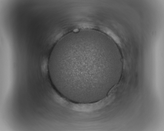 X0000113540009200909250936