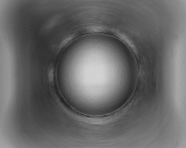 X0000113540010200909250935