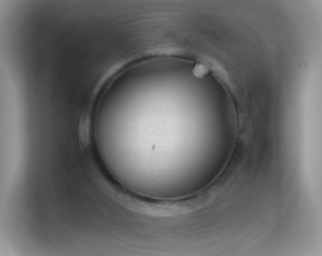 X0000113540012200909250935