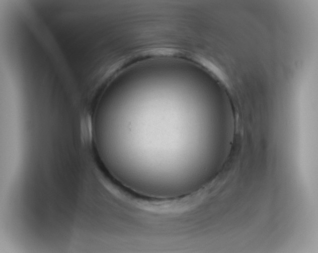 X0000113540013200909250935