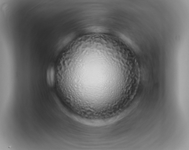 X0000113540014200909250935