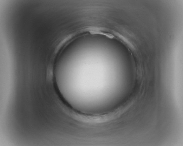 X0000113540015200909250935