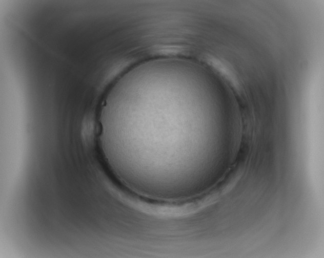 X0000113540016200909250935