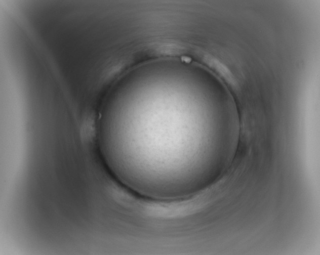 X0000113540017200909250935