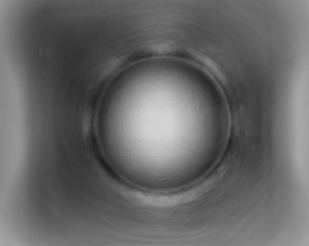 X0000113540018200909250935