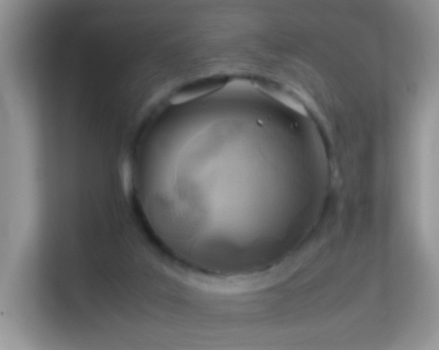 X0000113540019200909250935