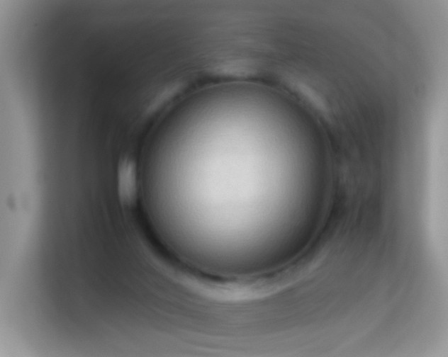 X0000113540020200909250935