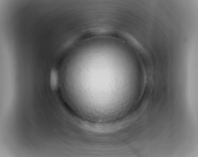 X0000113540022200909250935