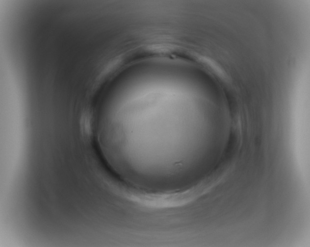 X0000113540023200909250935