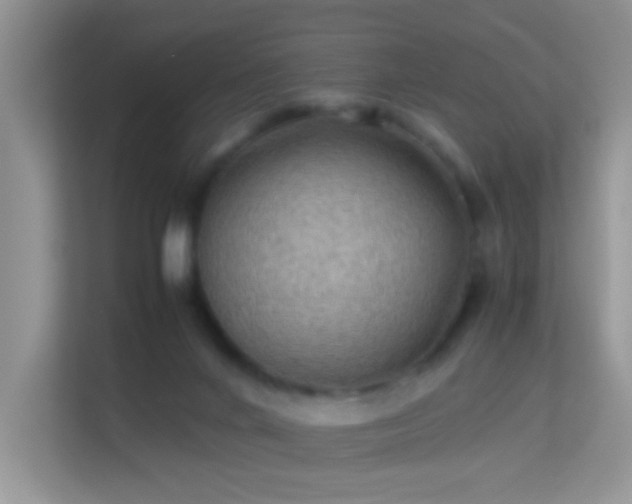 X0000113540024200909250935