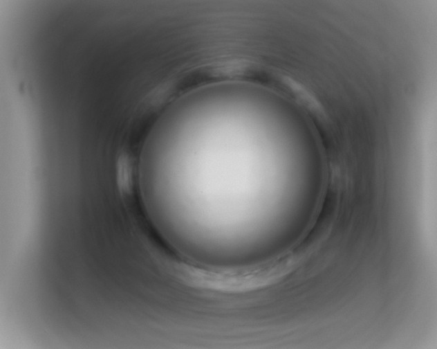 X0000113540026200909250935