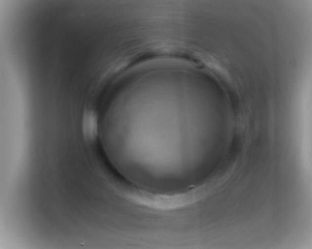 X0000113540027200909250935