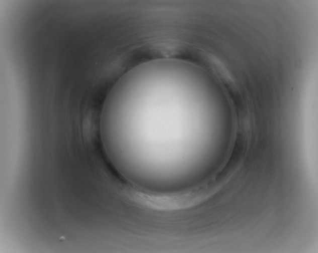 X0000113540030200909250935