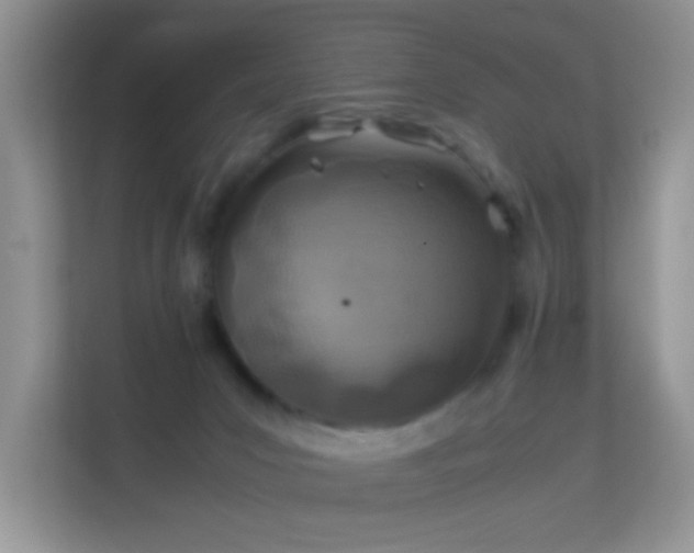 X0000113540031200909250935