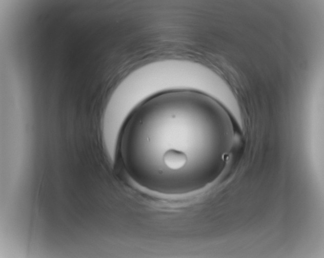 X0000113540033200909250935