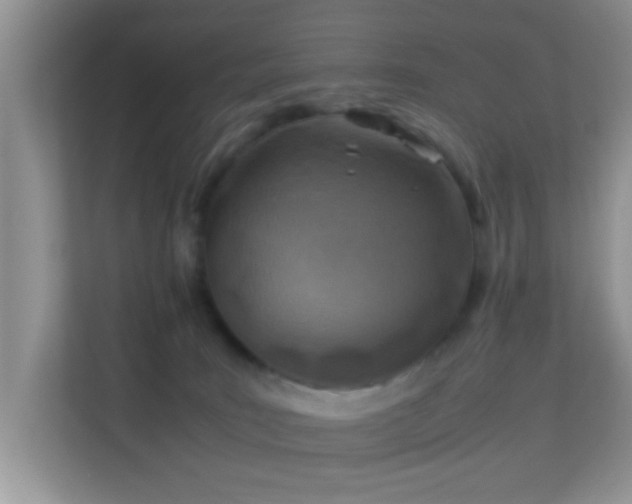 X0000113540035200909250935