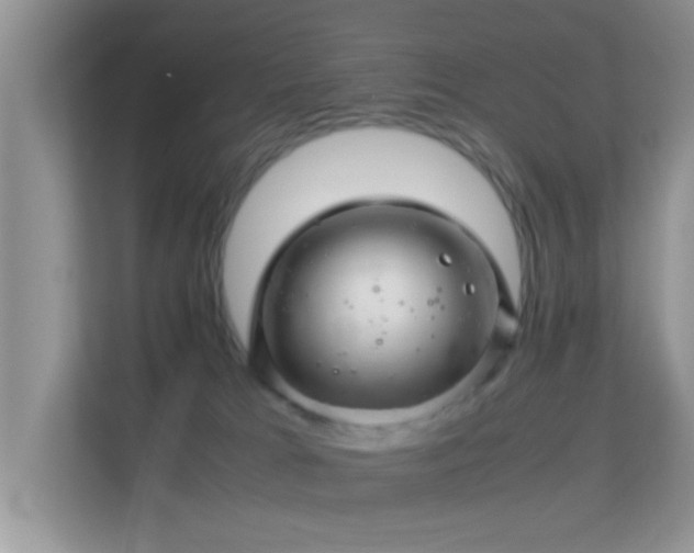 X0000113540037200909250935