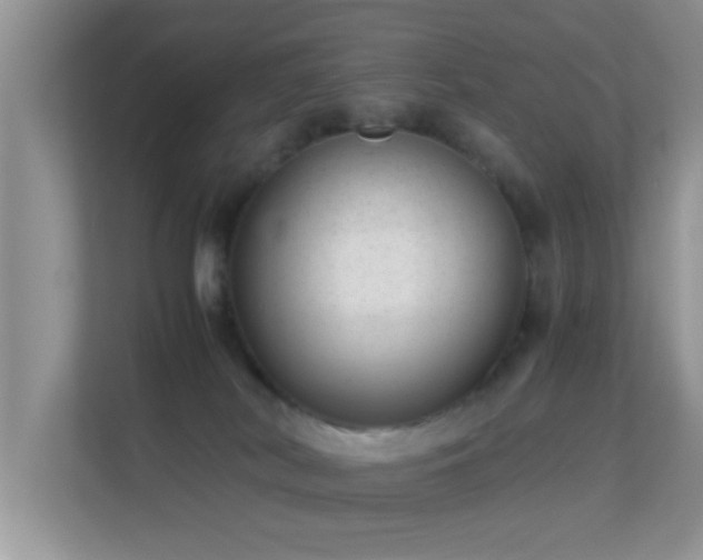 X0000113540038200909250935