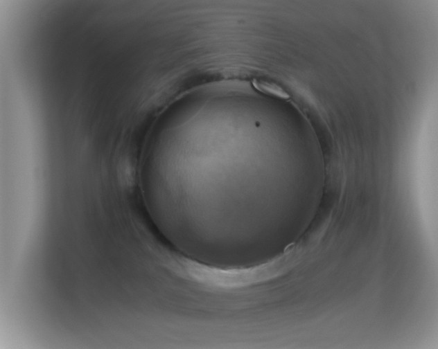 X0000113540039200909250935