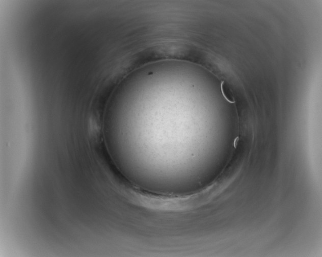 X0000113540040200909250935