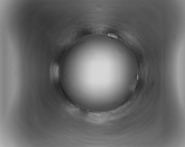 X0000113540041200909250935