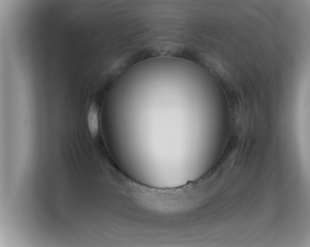 X0000113540042200909250935