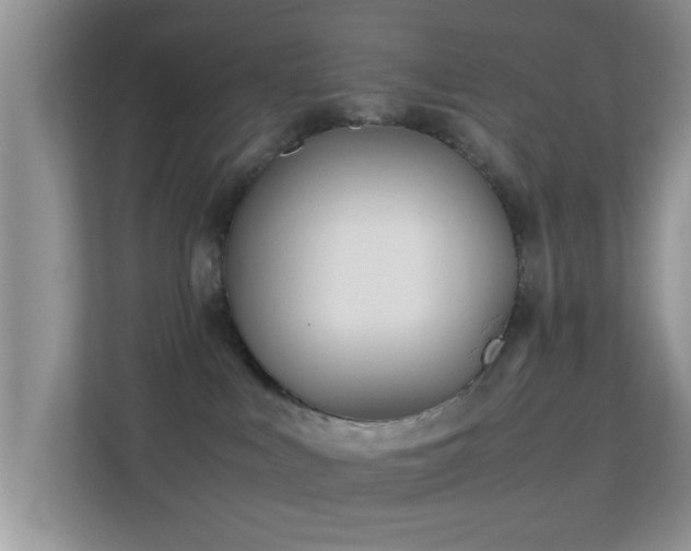 X0000113540043200909250935