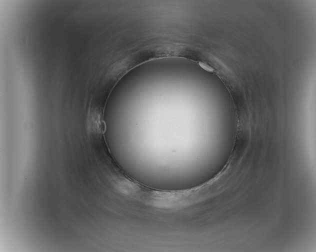 X0000113540045200909250935