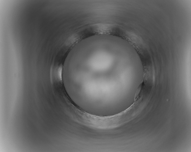 X0000113540047200909250935