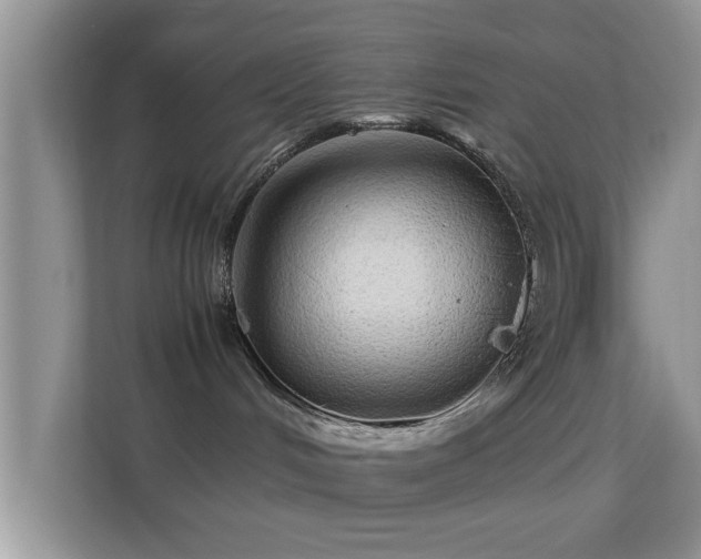 X0000113540048200909250935