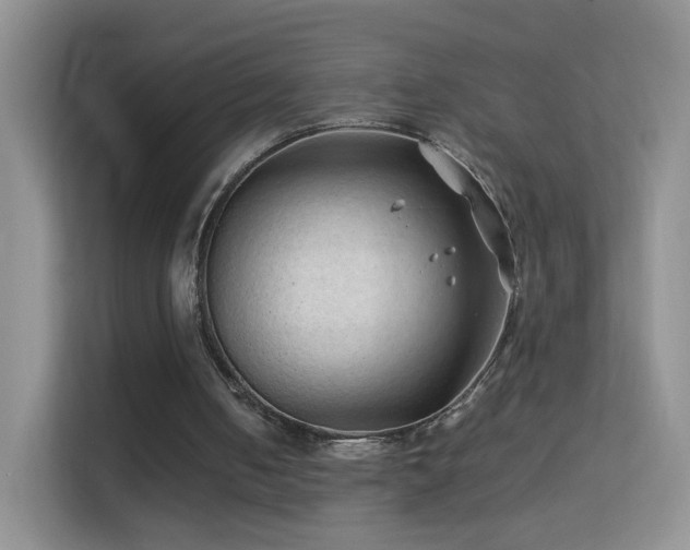 X0000113540050200909250934