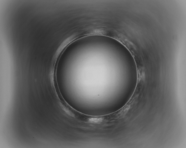 X0000113540051200909250934