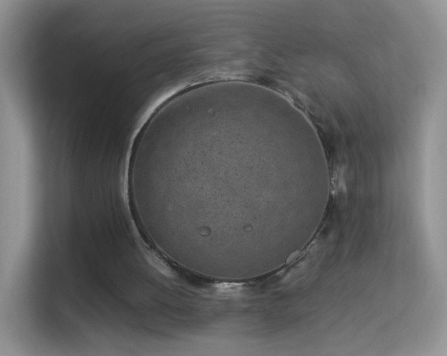 X0000113540052200909250934