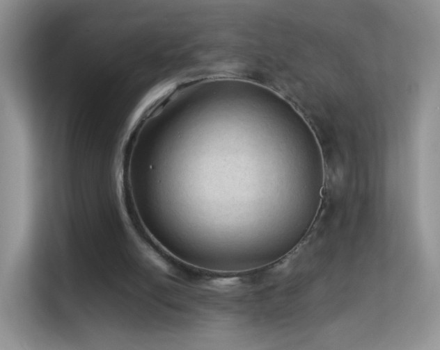 X0000113540054200909250934