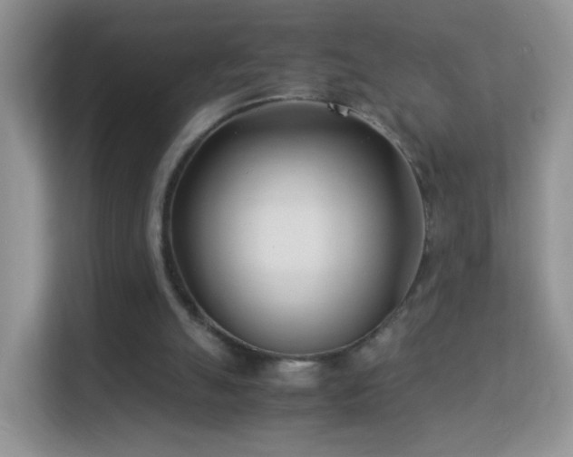 X0000113540055200909250934