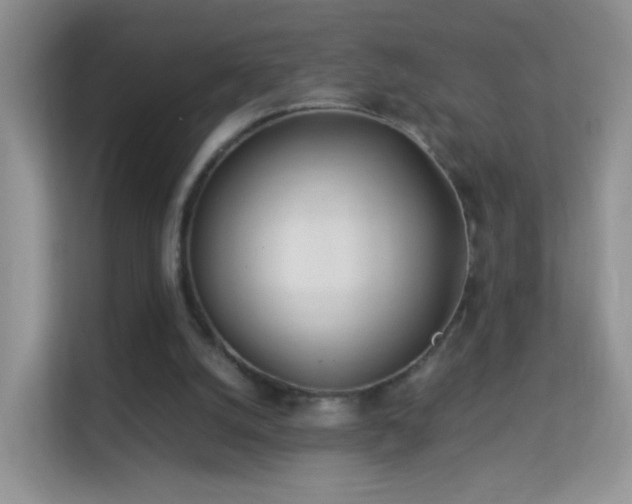 X0000113540056200909250934