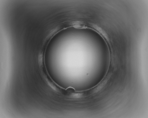 X0000113540057200909250934