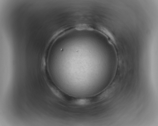 X0000113540059200909250935